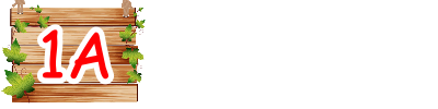 1A