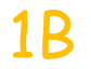 1B