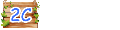 2C
