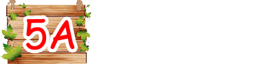 5A