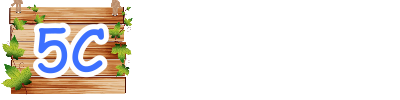 5C