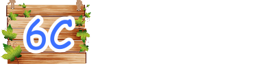 6C
